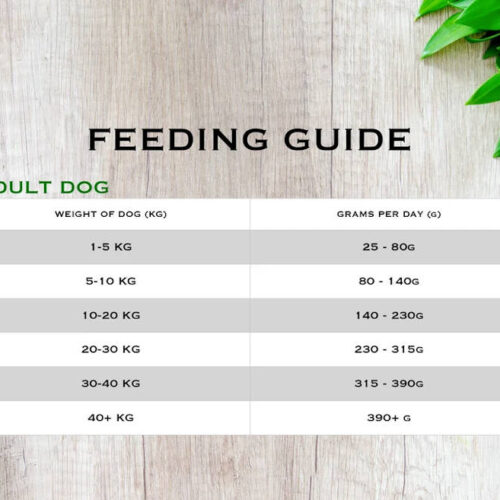 Alternative view of Countrty Barn Complete Dog Food - Lamb & Mint