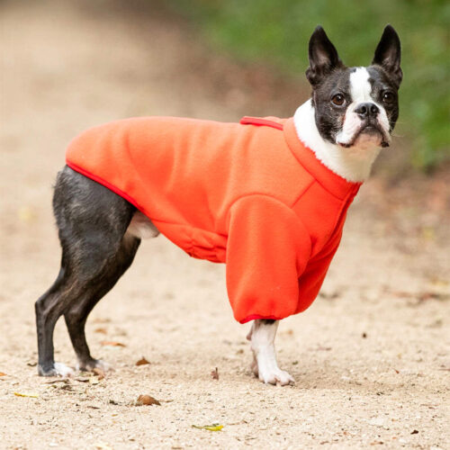 Hugo & Hudson Orange Two Legged Fleece