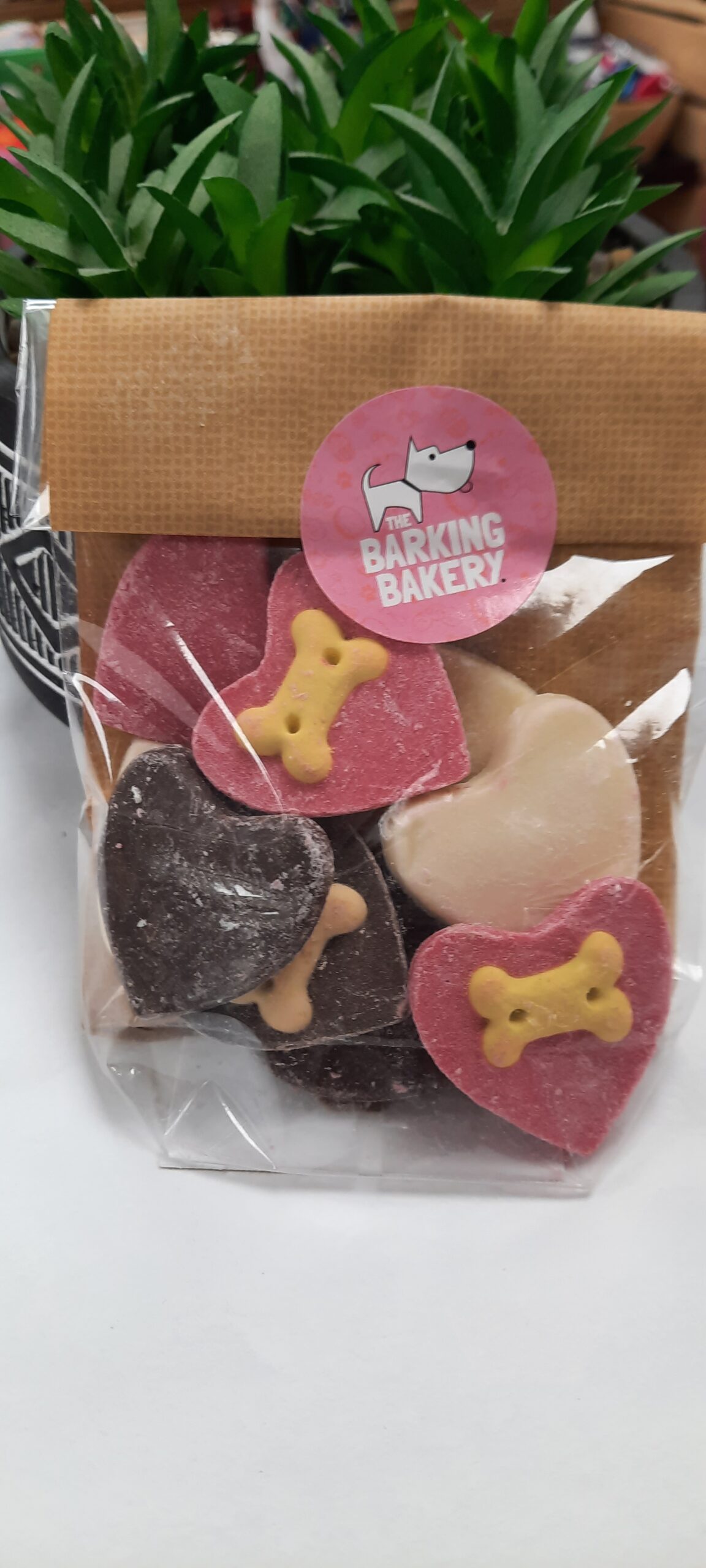 Small Dog Special Gift Set - Image 3