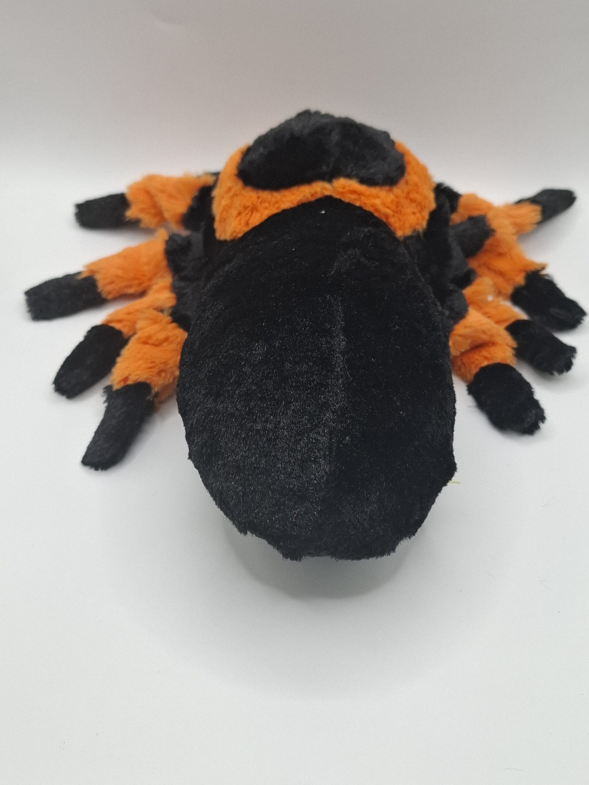 Sammy Spider - Plush Toy - Image 3
