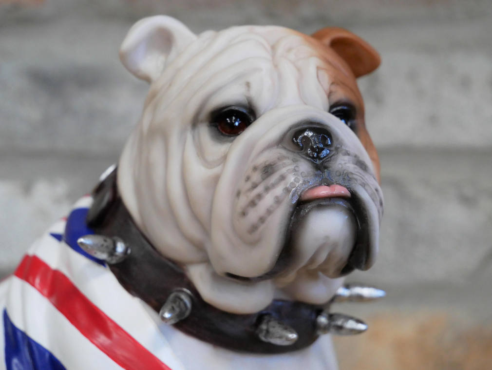 A British Sitting Bulldog With Union Jack Flag - Image 3