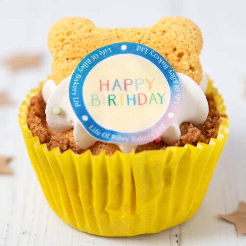 Life of Riley - Happy Birthday Pupcake