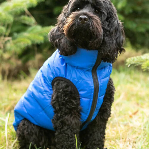 Alternative view of Hugo and Hudson - Reversible Dog Puffer Jacket - Blue and Navy