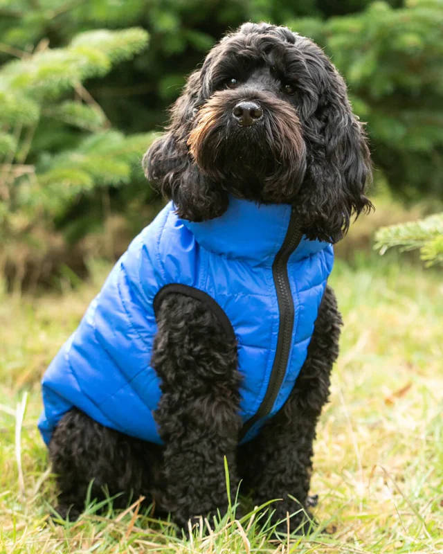 Hugo and Hudson - Reversible Dog Puffer Jacket - Blue and Navy - Image 2