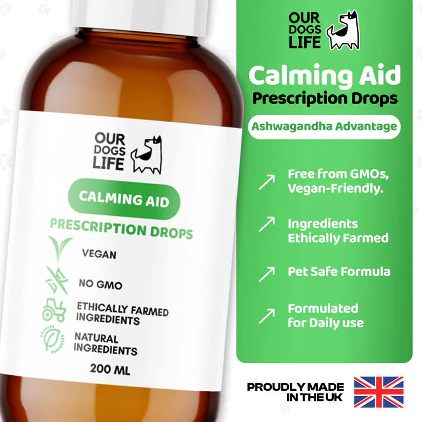 Calming Drops for Dogs - Image 3