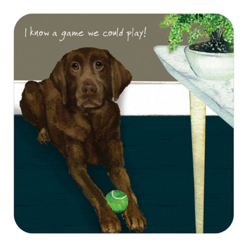 Chocolate Labrador Coaster Set of 6
