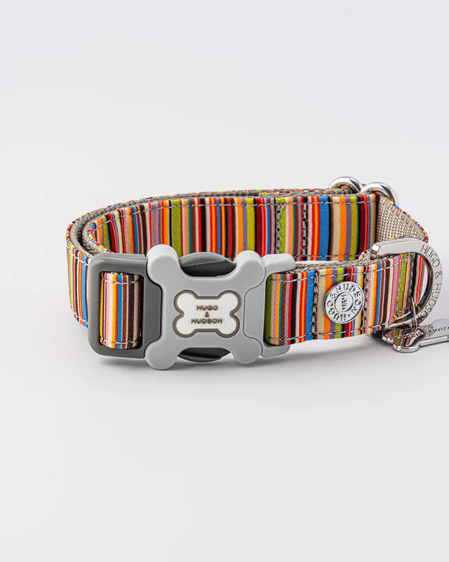 Hugo & Hudson - Striped Multi-Colour Fabric Collar