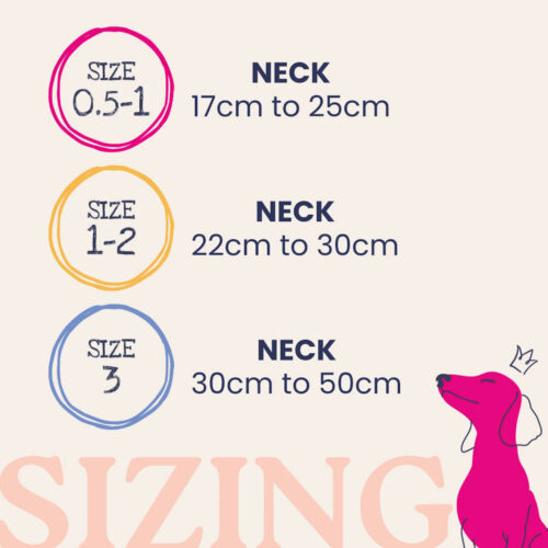 Alternative view of Dinky Dog Collar by Doodlebone