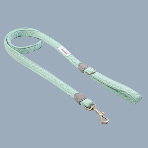 Dinky Dog leads by Doodlebone