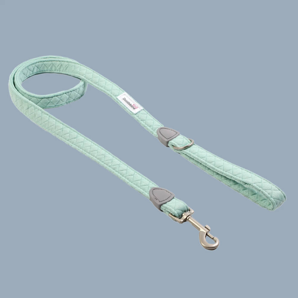 Dinky Dog leads by Doodlebone