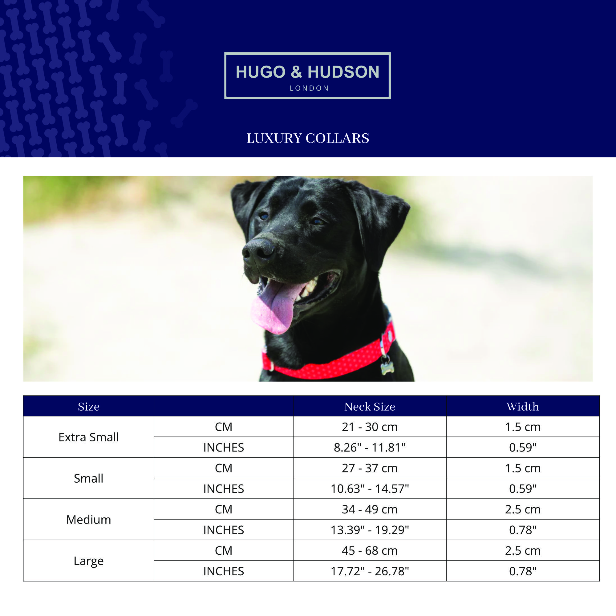 Fabric Dog Collar - Navy Star by Hugo and Hudson - Image 3