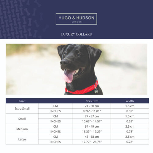 Hackett with Hugo and Hudson - Dark Green Checked Collar - Image 4