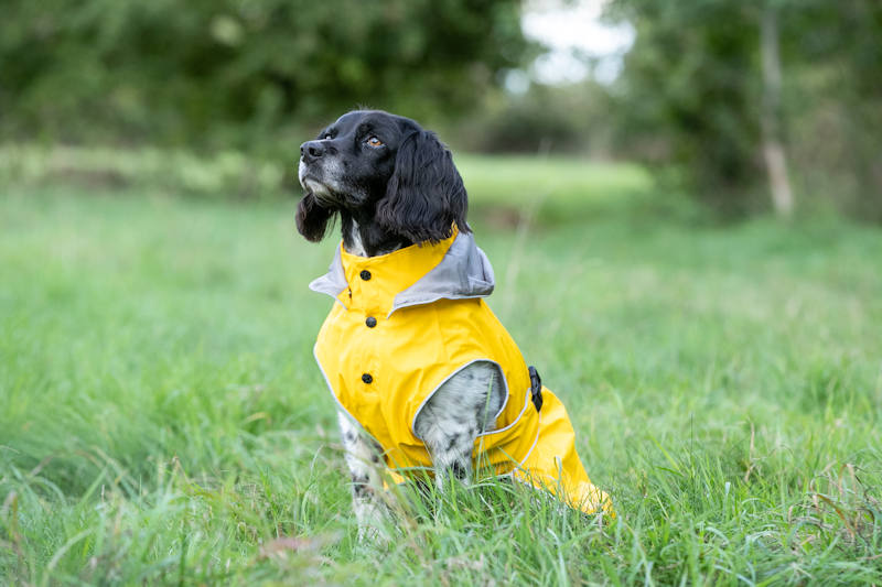 Hugo Hudson - All Weather Dog Raincoat - Image 2