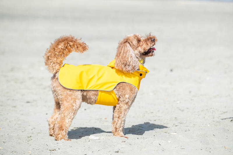 Hugo Hudson - All Weather Dog Raincoat - Image 4