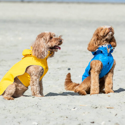 Hugo Hudson - All Weather Dog Raincoat - Image 5