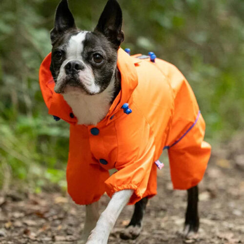 Alternative view of Hugo and Hudson 4 Legged Waterproof Coat - Orange