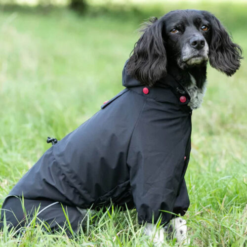 Hugo & Hudson 4 Legged All Weather Suit - Black