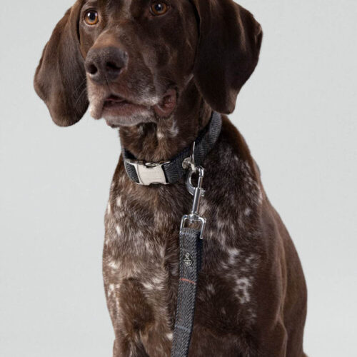 Alternative view of Hugo and Hudson Grey Tweed Lead