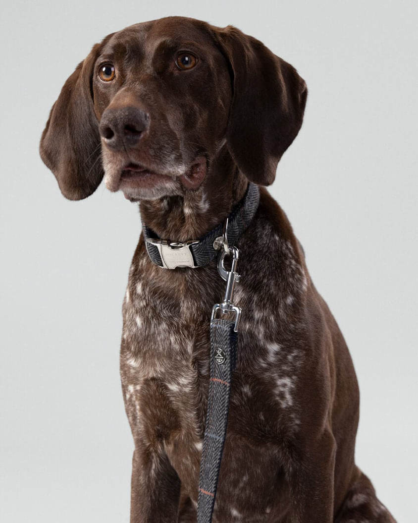 Hugo and Hudson Grey Tweed Lead - Image 2