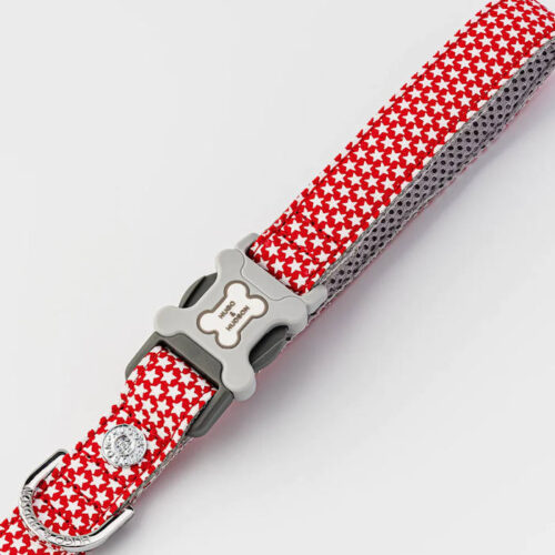 Alternative view of Hugo & Hudson - Lead in Red Star Design