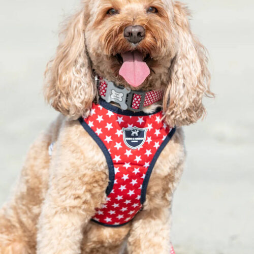 Hugo & Hudson - Red Star Fabric Dog Harness - Image 3