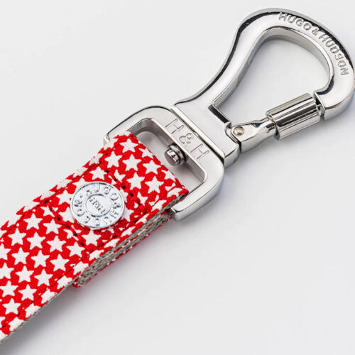 Hugo & Hudson - Lead in Red Star Design - Image 3