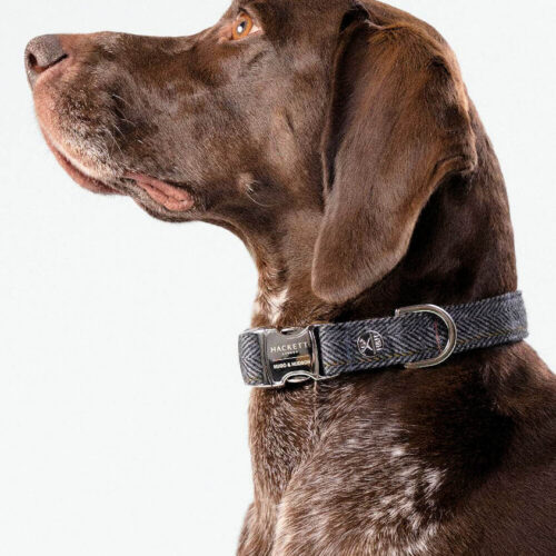 Hugo & Hudson - Grey Tweed Collar