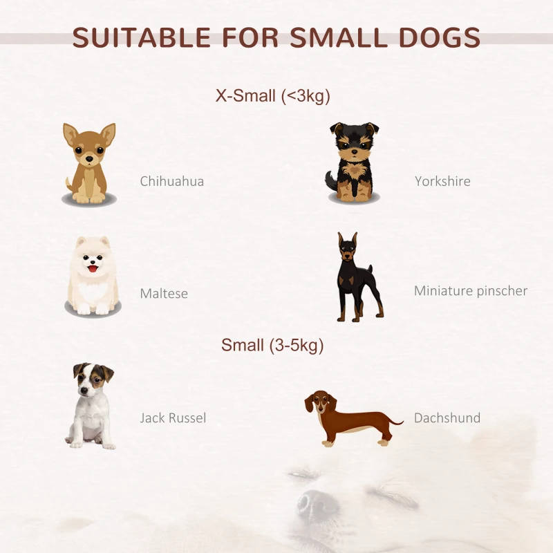 Luxury Sofa for dogs. - Image 3
