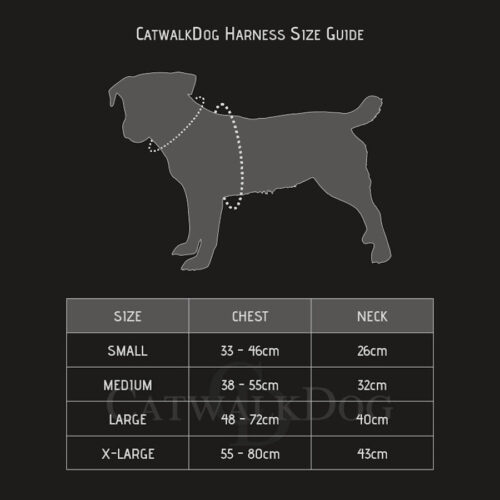 Love is Love Dog Harness by CatwalkDog - Image 3