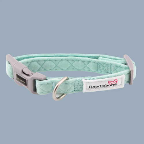 Dinky Dog Collar by Doodlebone