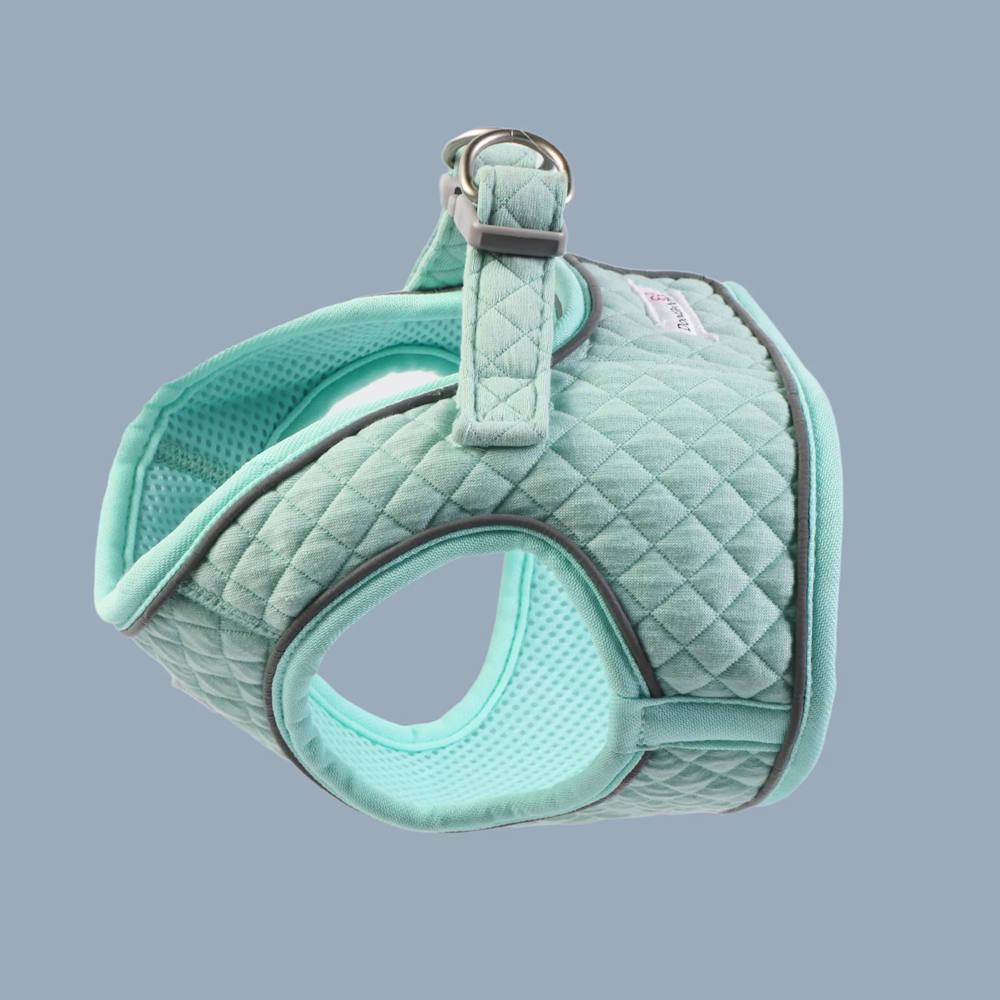 Dinky Dog Snappy Harness by Doodlebone