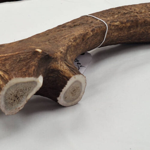 Monster Sized Full Antler Chew 600-700g
