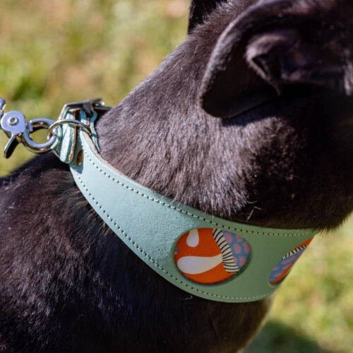 Hiro & Wolf Mushrooms Hound Collar