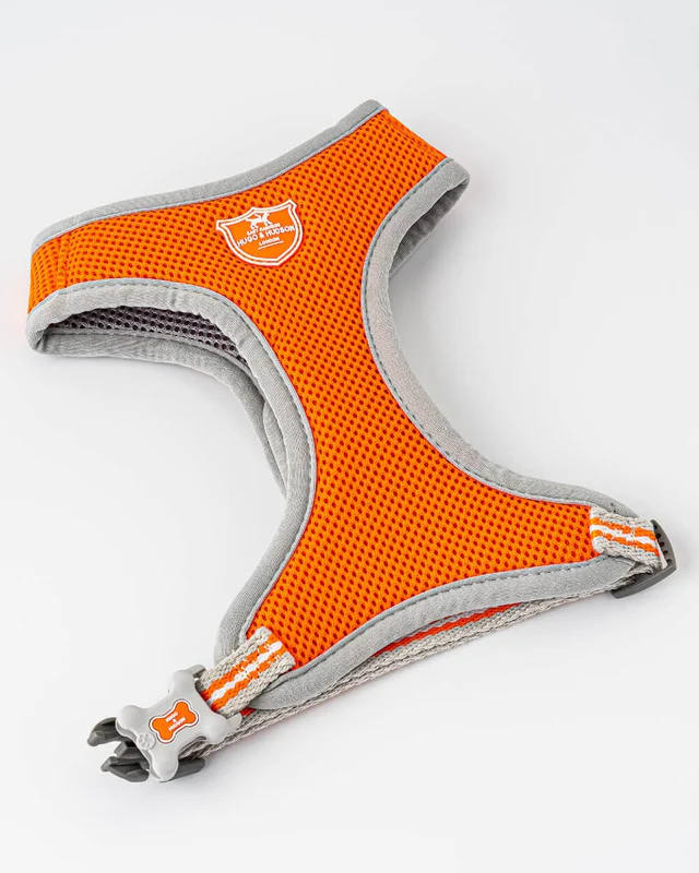 Hugo Hudson Orange Mesh Harness