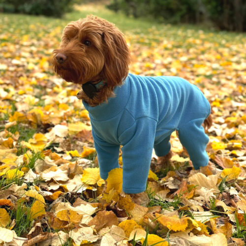Pet Wiz Four Legged Dog Fleece - TEAL