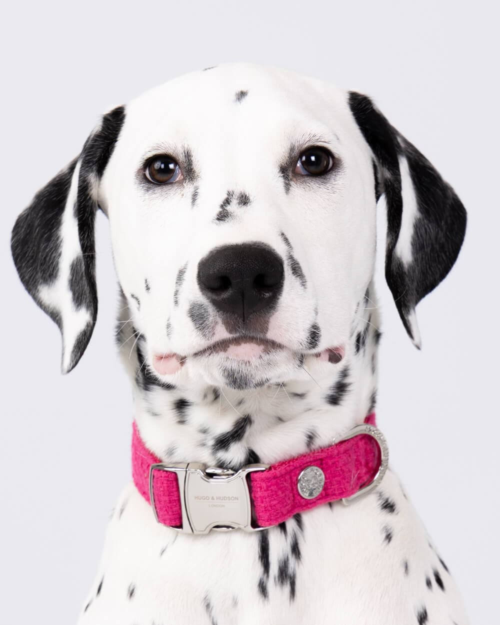 Hugo & Hudson - Pink Tweed Collar - Image 2