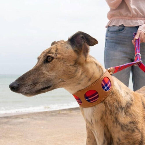Shuka Red Hound Collar by Hiro & Wolf