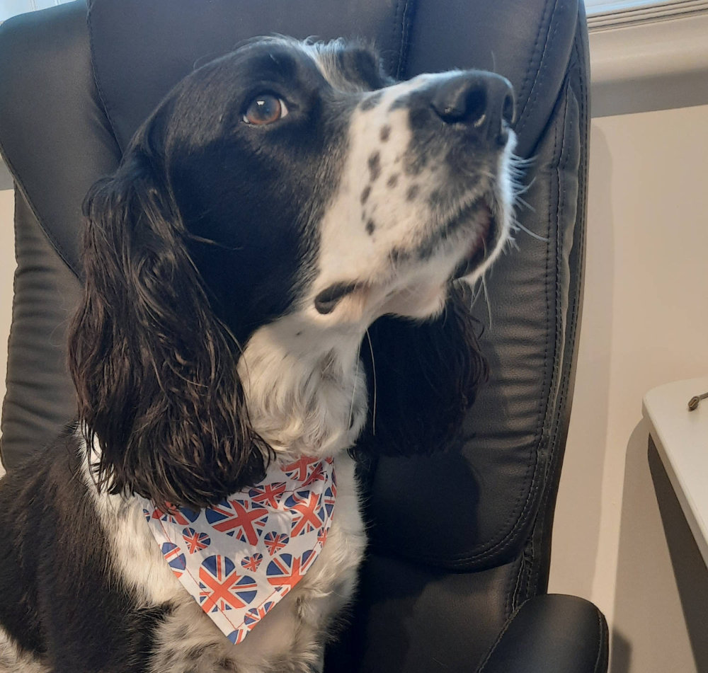Union Jack - Love Hearts Bandana - Image 2