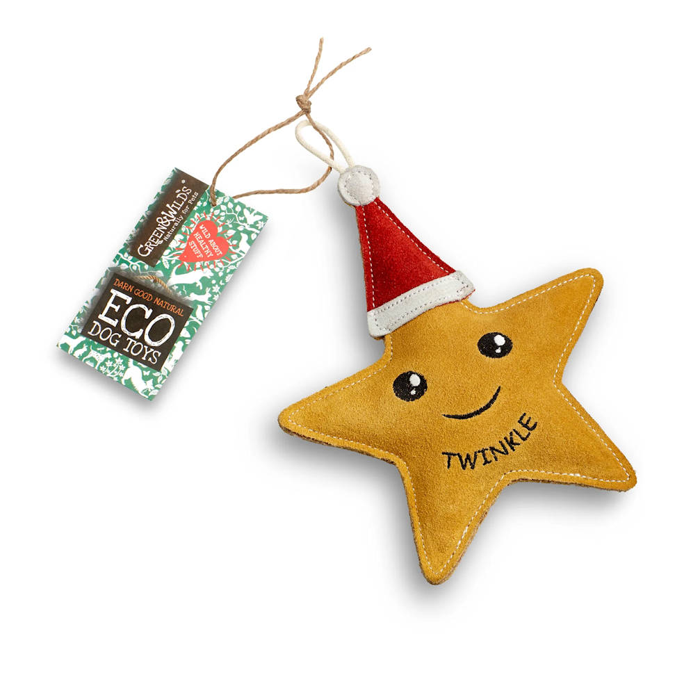 Christmas Eco Toy Combo - Image 3