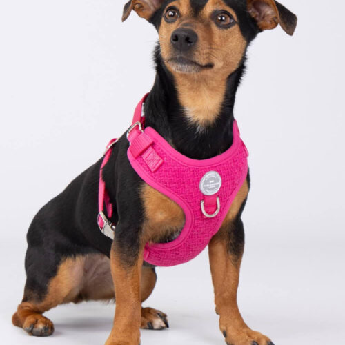 Hugo and Hudson Pink Tweed Harness - Image 3