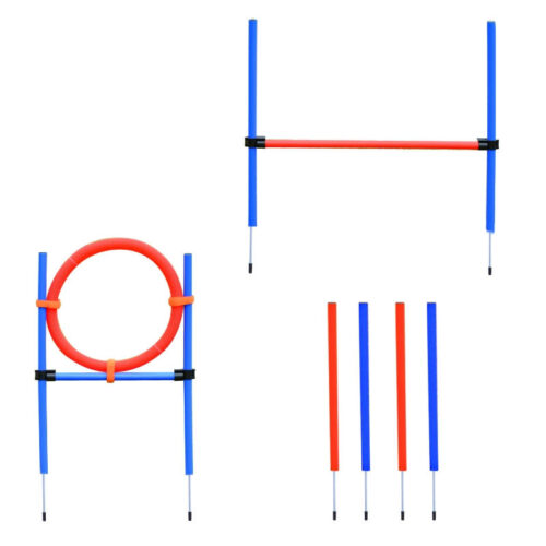 Alternative view of Dog Agility Training. Adjustable Set