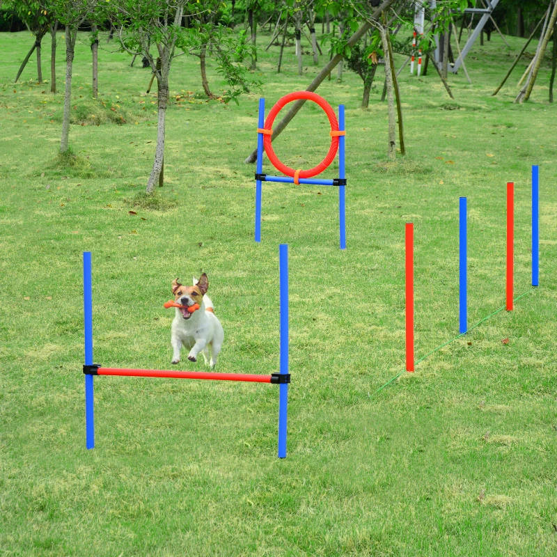 Dog Agility Training. Adjustable Set