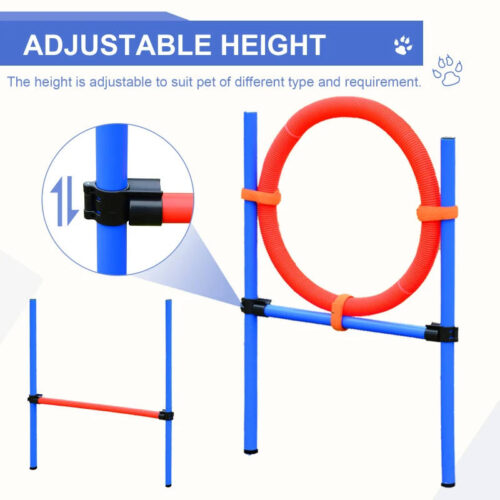 Dog Agility Training. Adjustable Set - Image 4