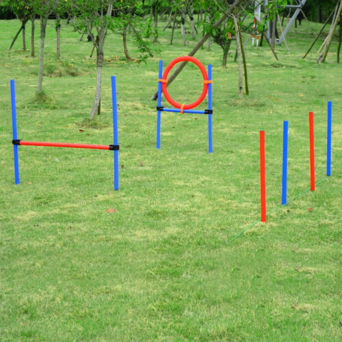 Dog Agility Training. Adjustable Set - Image 6