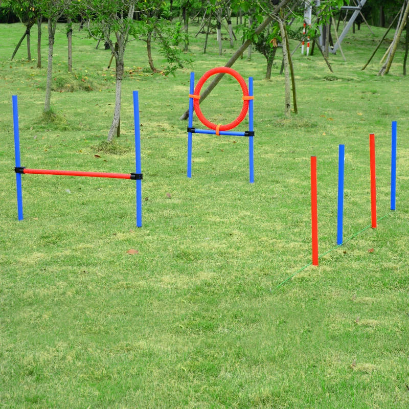 Dog Agility Training. Adjustable Set - Image 6
