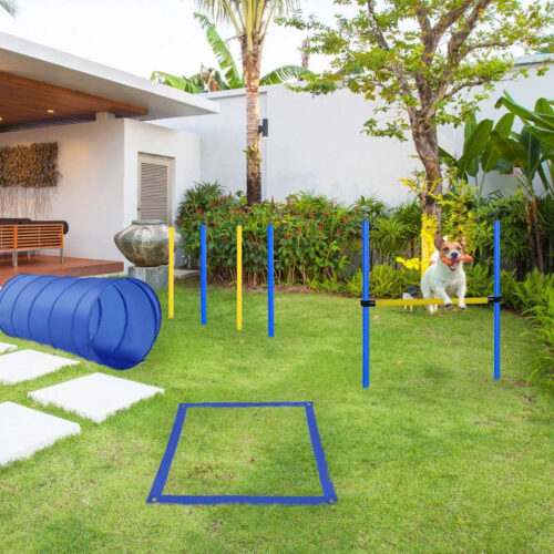 Agility & Training