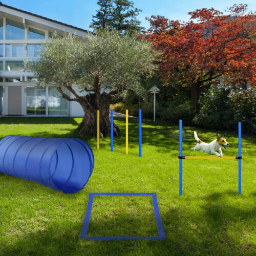 Adjustable Pet Agility Training Set. Blue/Yellow