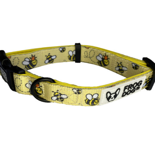 Frog Dog Co - Comfy Wear Collar