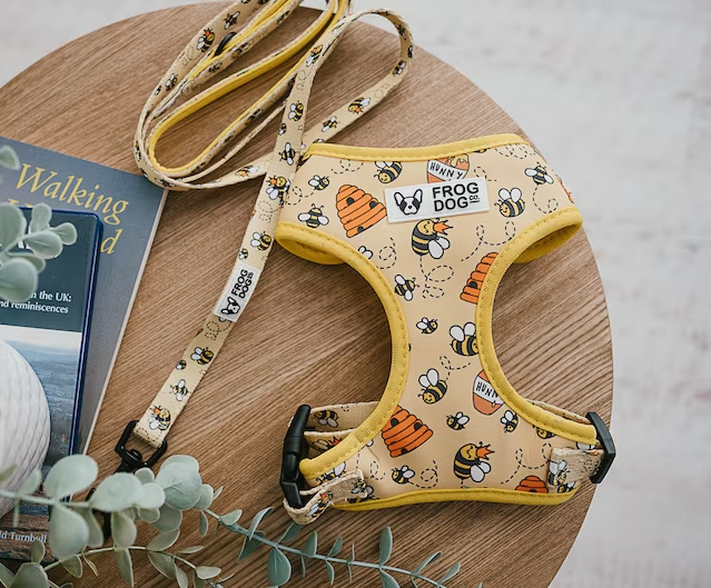 Frog Dog Co - Walking Set Bee Design