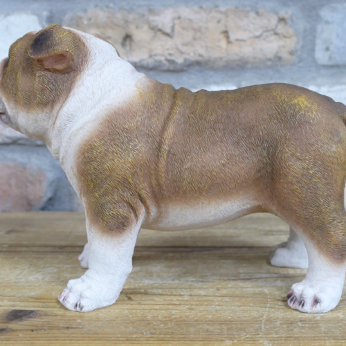 Standing British Bulldog Figurine - Image 4